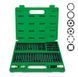 Набор бит TORX, HEX, SPLINE, RIBE, SQ 60ед. GCAI6003 TOPTUL 27023 фото 2